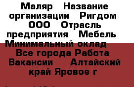 Маляр › Название организации ­ Ригдом, ООО › Отрасль предприятия ­ Мебель › Минимальный оклад ­ 1 - Все города Работа » Вакансии   . Алтайский край,Яровое г.